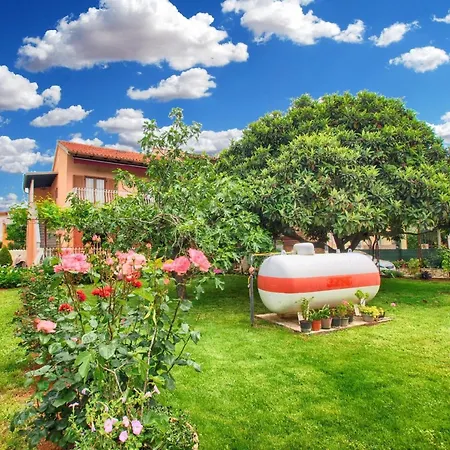 Fuer 5 Personen Ca 53 Qm In Rovinj-cocaletto, Istrien Istrische Riviera 아파트 *